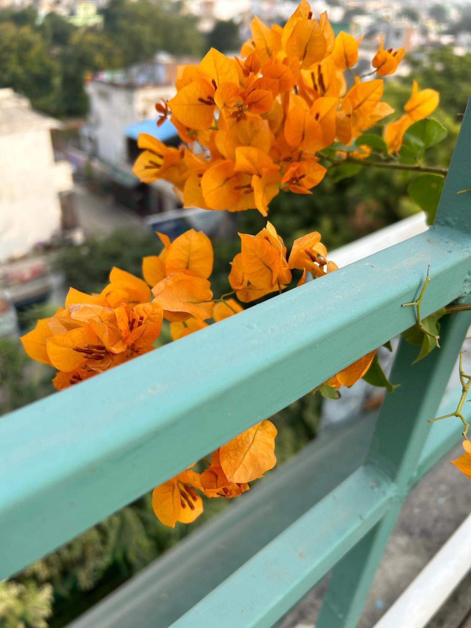 Max Guest House Агра Экстерьер фото